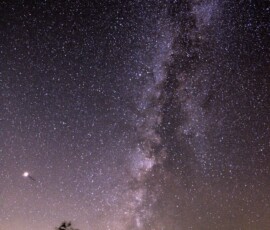 Vince Castello Milky Way at GMO