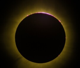 Solar prominences and the Sun's corona, captured at totality, during the April 8, 2024 Total Solar Eclipse. Photo by club member Donnie Barnett. Donnie Barnett Total Solar Eclipse 2024