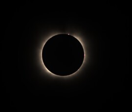 The Sun's prominences all around the edge, at totality during the April 8, 2024 Total Solar Eclipse. Photo by club member Knox Worde. Knox Worde Total Solar Eclipse 2024