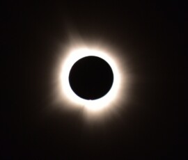 The Sun's corona, clearly visible at totality during the April 8, 2024 Total Solar Eclipse. Photo by club member Richard Reynolds. Richard Reynolds Total Solar Eclipse 2024