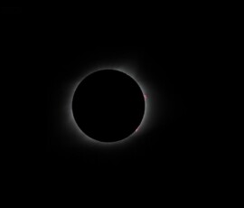 Totality, with prominences, total solar eclipse of August 21, 2017. Photo by club member Knox Worde. Knox Worde Solar Eclipse 2017