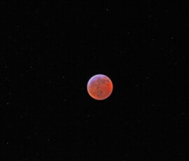Vince Castello Lunar_Eclipse