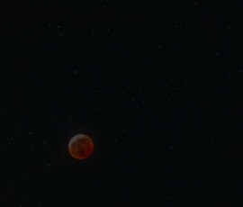 Alan Davis Lunar Eclipse