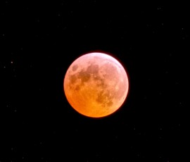 Mark Miller Lunar Eclipse