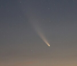 Comet NEOWISE before sunrise, the morning of July 15, 2020. Photo by club member Knox Worde Comet NEOWISE Knox Worde
