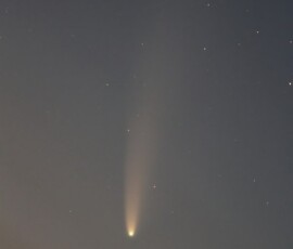 Comet NEOWISE before sunrise, the morning of July 15, 2020. Photo by club member Knox Worde Comet NEOWISE Knox Worde
