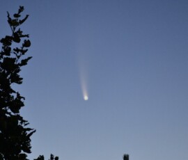 Club member Richard Reynolds says, “the comet made it to Barnardsville this morning, July 9, at 5AM. It looked spectacular in binoculars!” Comet NEOWISE Richard Reynolds