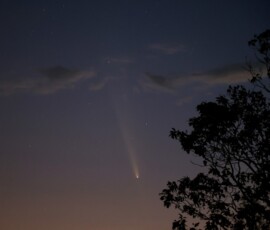 Comet C/2023 A3 (Tsuchinshan-ATLAS Vince Castello