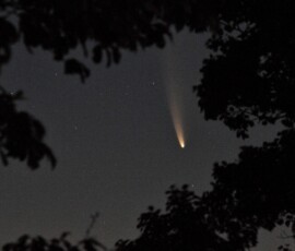 Comet NEOWISE through the trees before sunrise, the morning of July 11. Photo by club member Vince Castello. Comet NEOWISE Vince Castello.