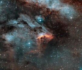 Tommy Wilkinson Pelican Nebula