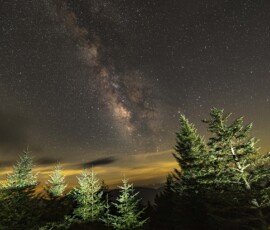 Alan Davis Milky Way