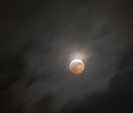 Lunar Eclipse Alan Davis