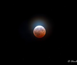 Charles Lillo Lunar Eclipse