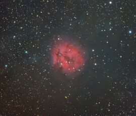 Shaun Finney Cocoon Nebula