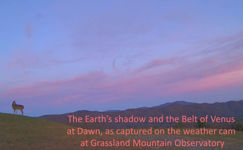 GMO-Dawn-Belt-of-Venus-with-deer